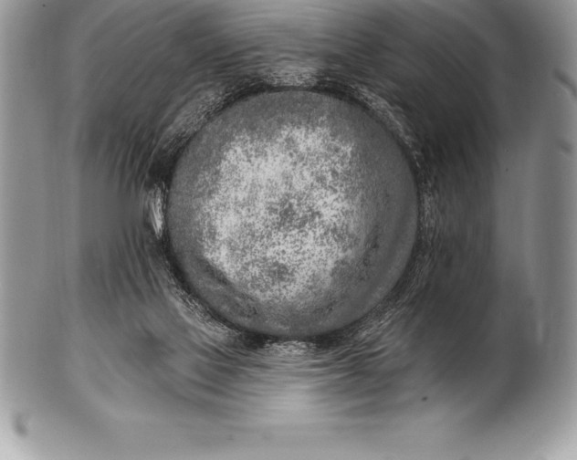 X0000100410069200806201808