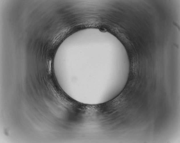 X0000100410070200806201808