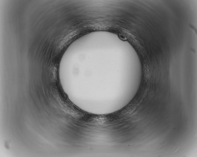 X0000100410071200806201808