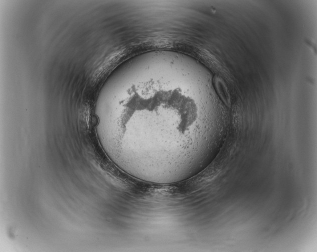 X0000100410072200806201808