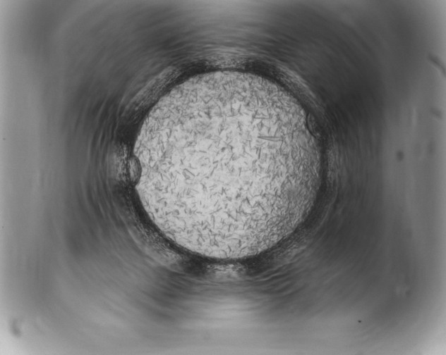 X0000100410073200806201808