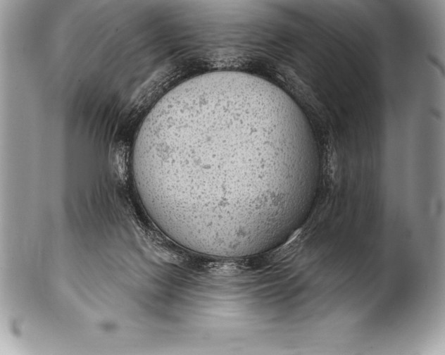 X0000100410074200806201808