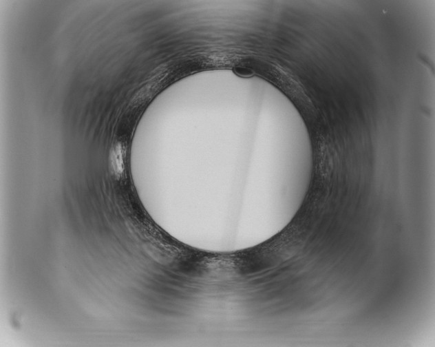 X0000100410075200806201808