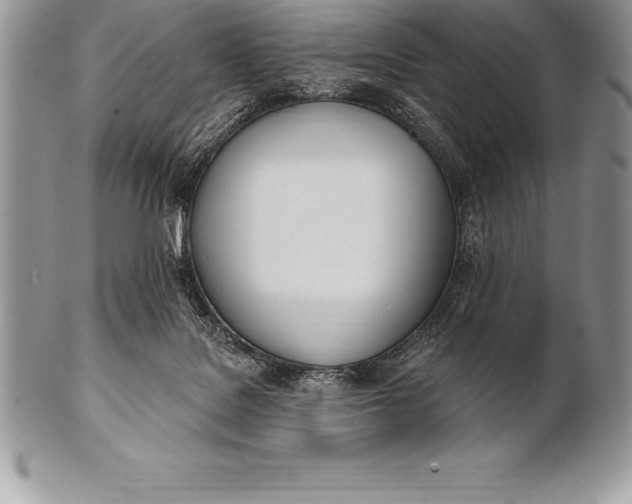 X0000100410076200806201808