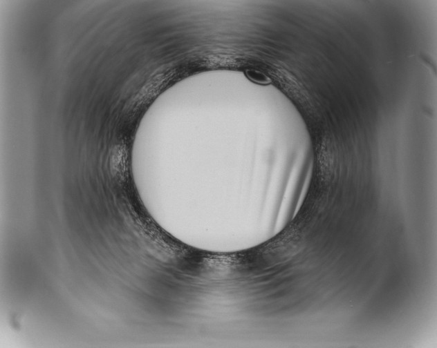 X0000100410079200806201809