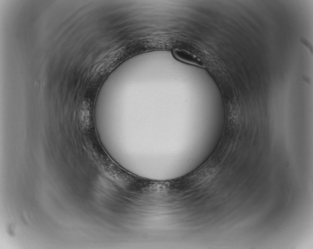 X0000100410080200806201809