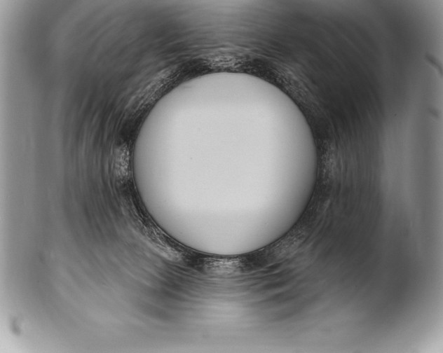 X0000100410081200806201809