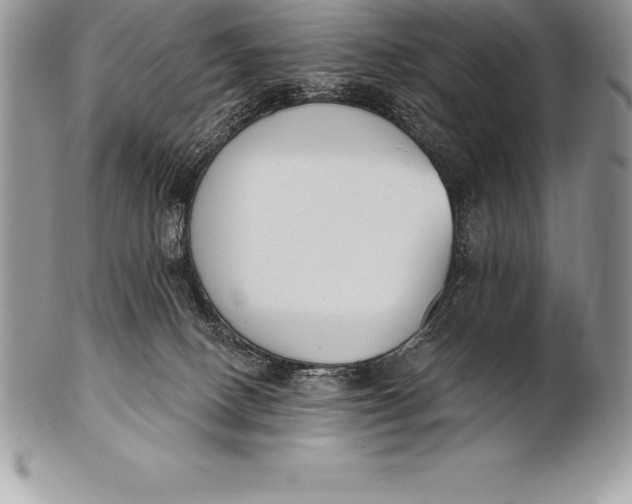 X0000100410082200806201809