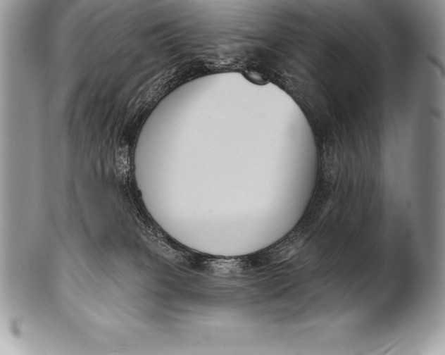 X0000100410085200806201809