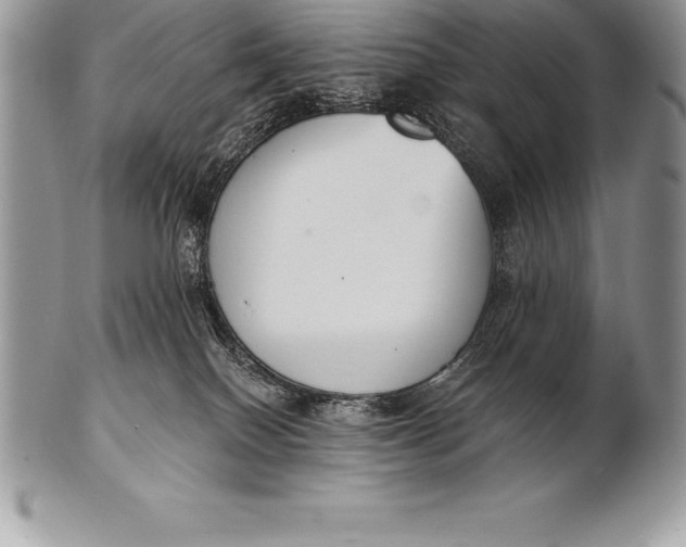 X0000100410086200806201809