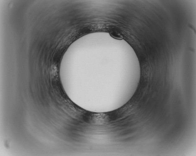 X0000100410087200806201809