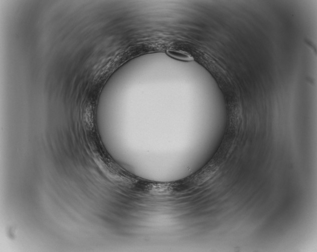 X0000100410088200806201809