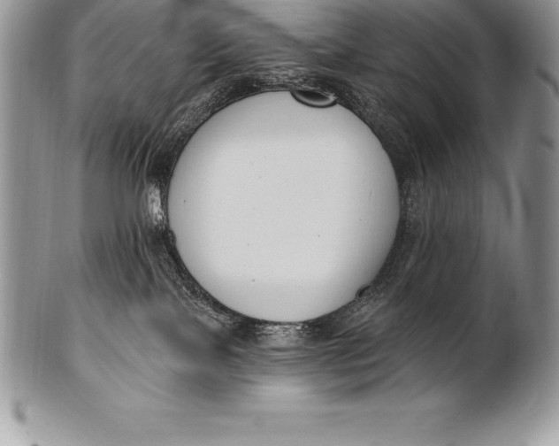 X0000100410089200806201809