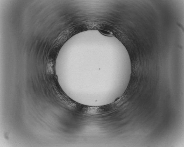 X0000100410090200806201809