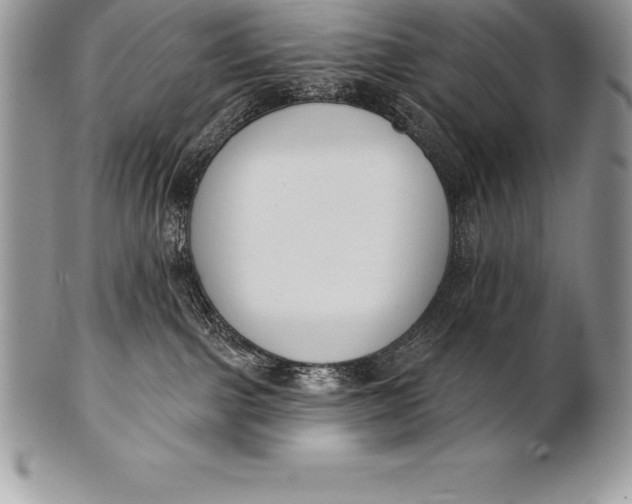 X0000100410091200806201809