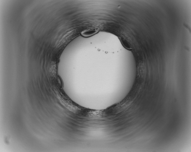 X0000100410092200806201809