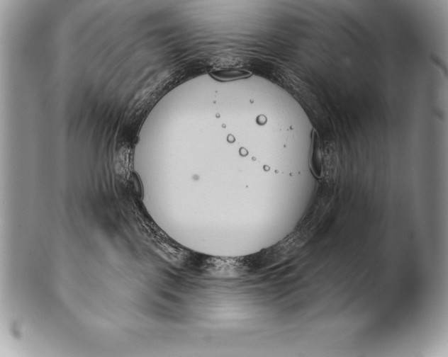 X0000100410093200806201809