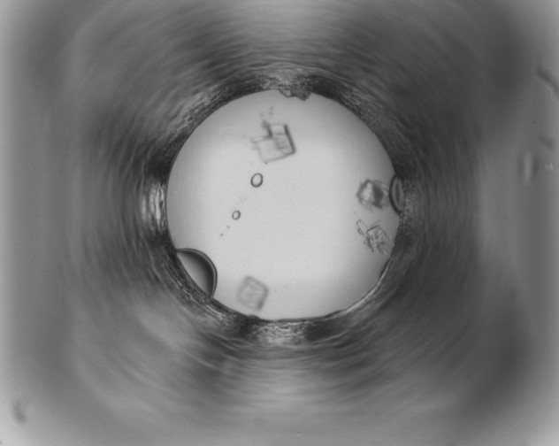 X0000100410094200806201809