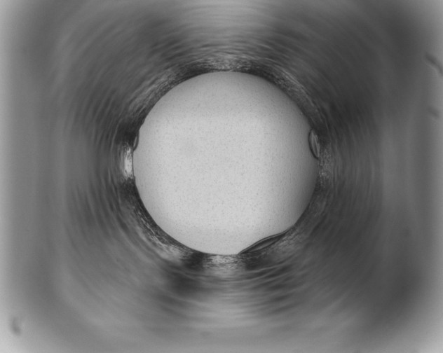 X0000100410095200806201809