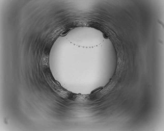 X0000100410096200806201809