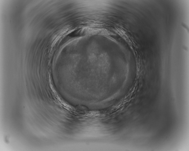 X0000100410097200806201808