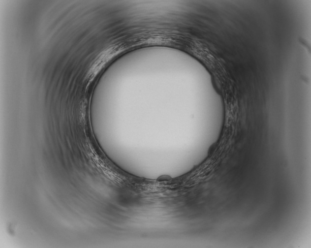 X0000100410098200806201808