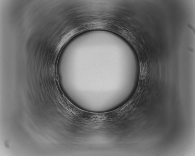 X0000100410099200806201808