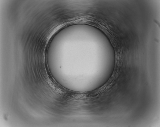 X0000100410100200806201808