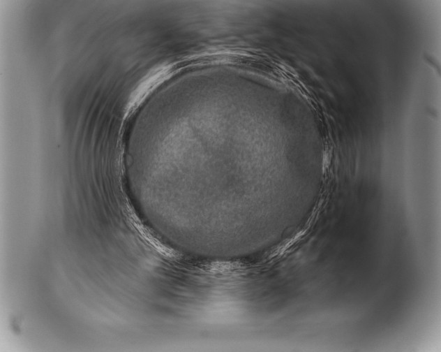 X0000100410101200806201808