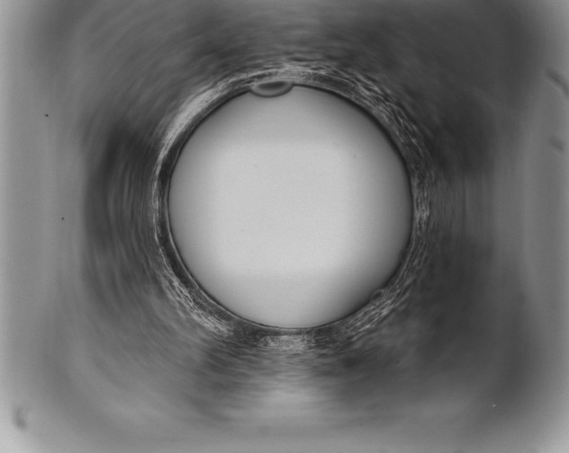 X0000100410102200806201808