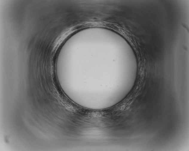 X0000100410103200806201808