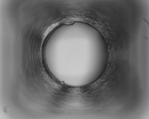 X0000100410104200806201808