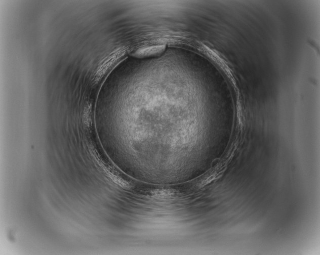 X0000100410105200806201808