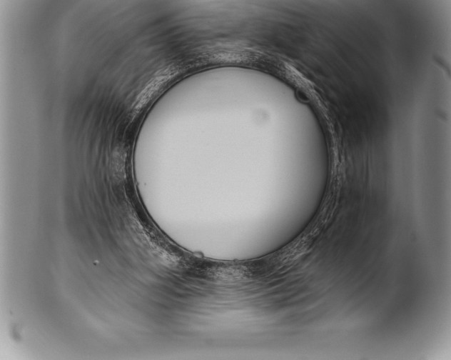 X0000100410106200806201808