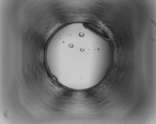 X0000100410107200806201808