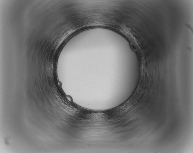 X0000100410108200806201808