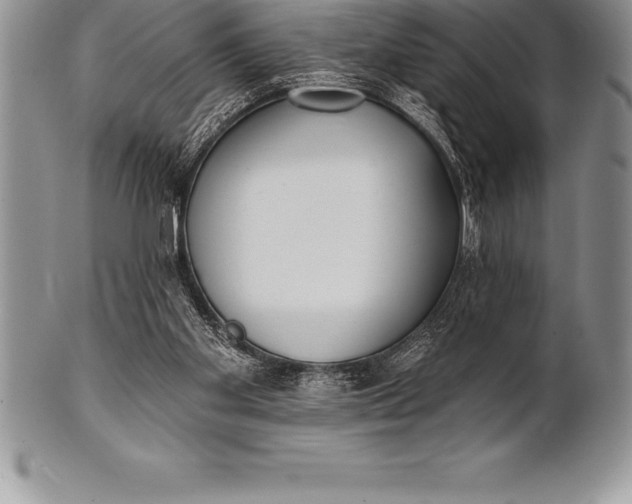 X0000100410109200806201808