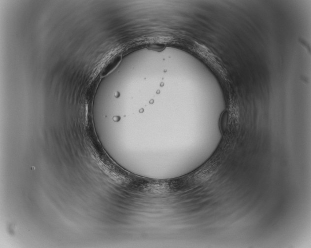 X0000100410110200806201808