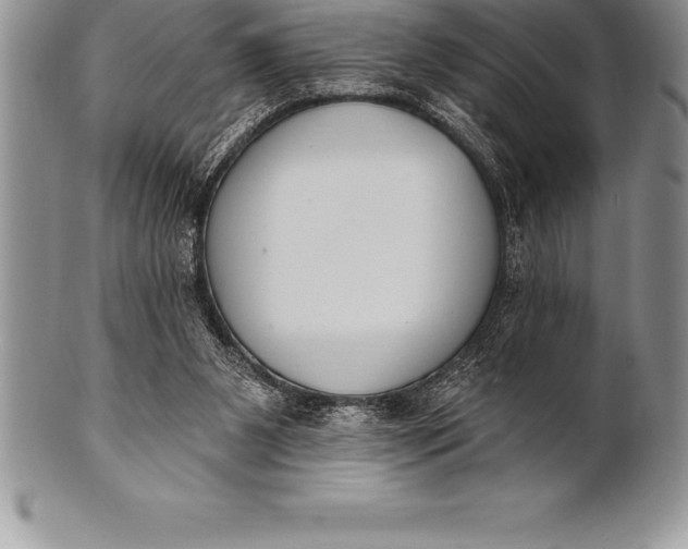 X0000100410111200806201808