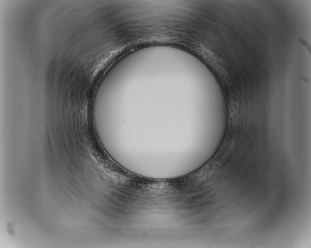 X0000100410112200806201808