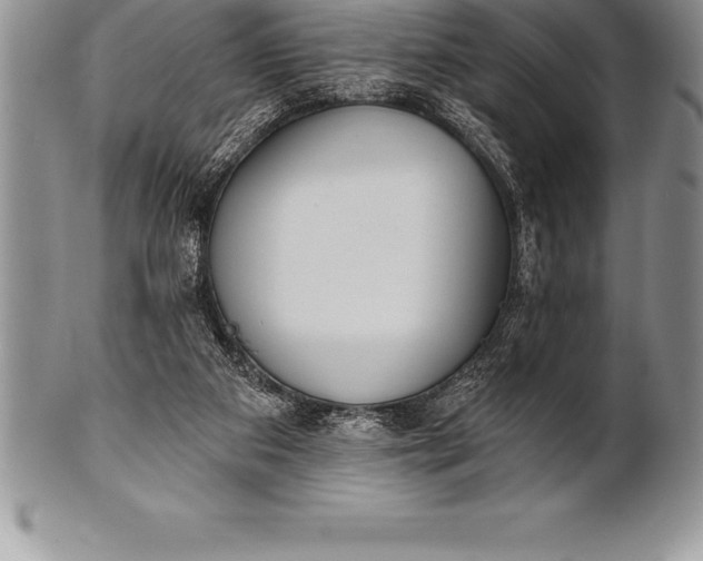 X0000100410113200806201808