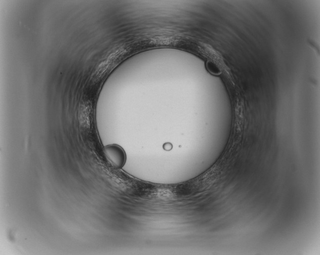 X0000100410114200806201808