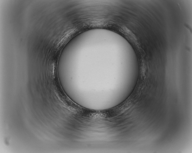 X0000100410115200806201808