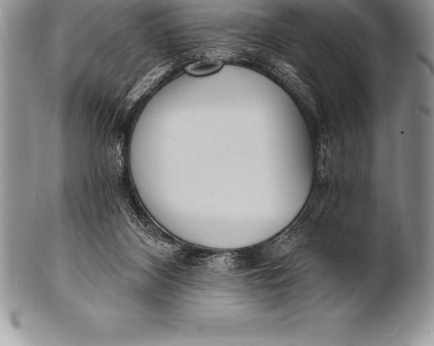 X0000100410116200806201808