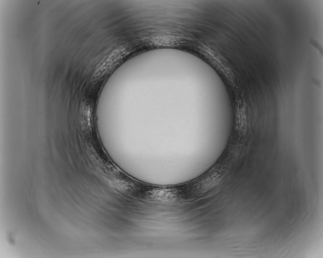 X0000100410117200806201808