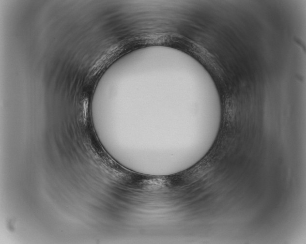 X0000100410118200806201808