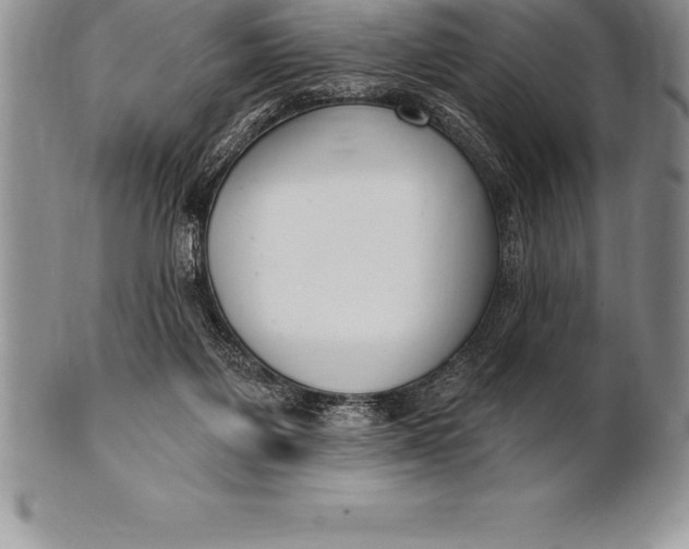 X0000100410119200806201808