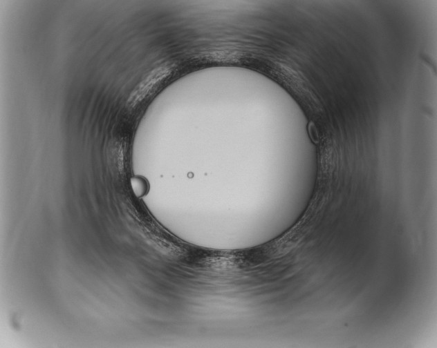 X0000100410120200806201808