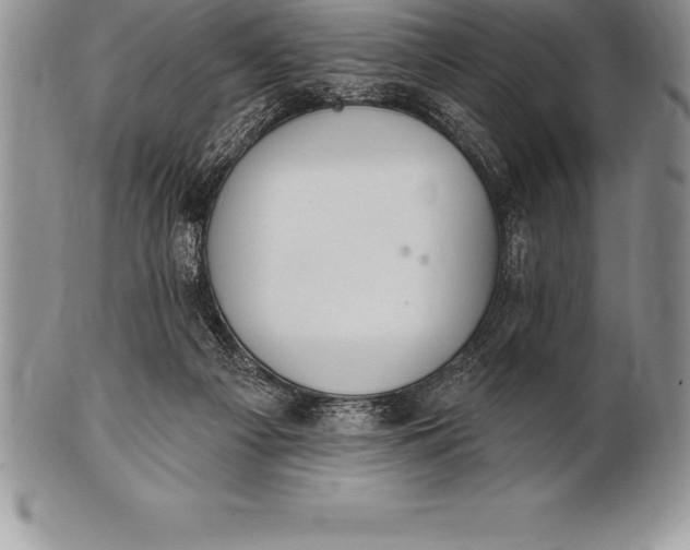 X0000100410121200806201808