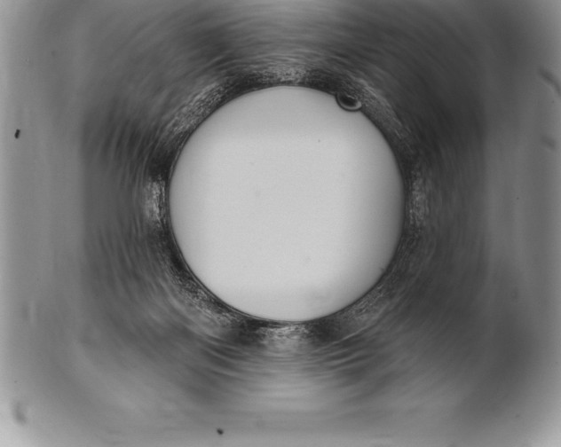 X0000100410122200806201808